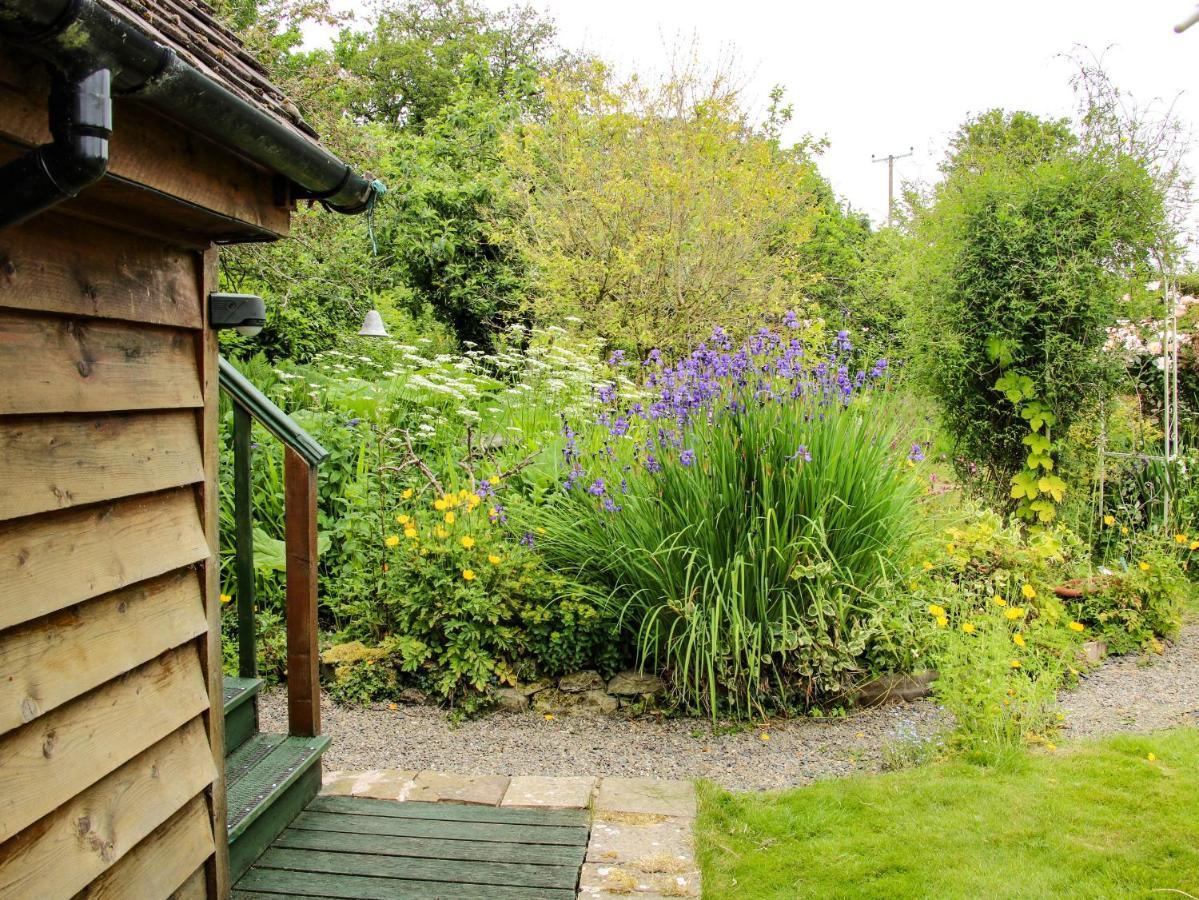 Milford Tree Tops Craven Arms Ngoại thất bức ảnh