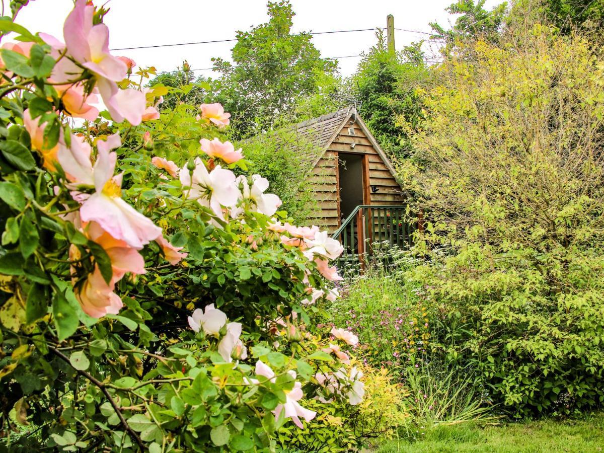 Milford Tree Tops Craven Arms Ngoại thất bức ảnh
